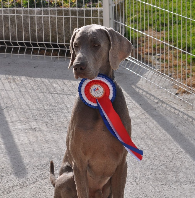 Des Marais Aux Roseaux D'argent - CHAMPIONNAT DE FRANCE